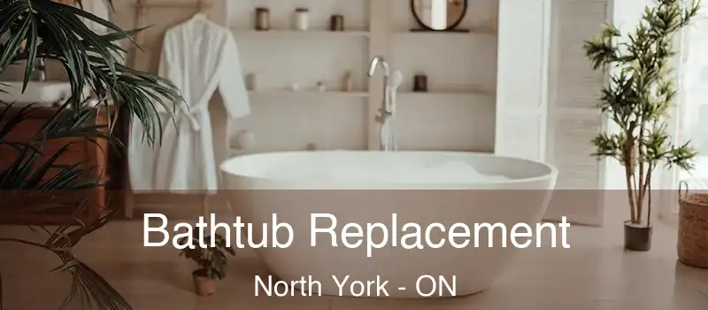 Bathtub Replacement North York - ON