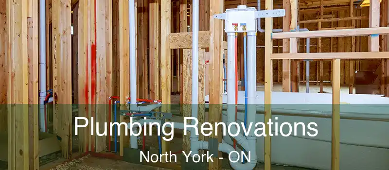 Plumbing Renovations North York - ON